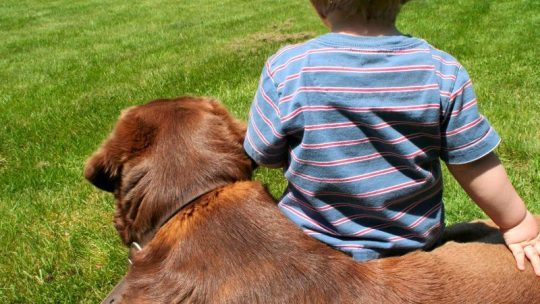 Bedre liv og helse med hund