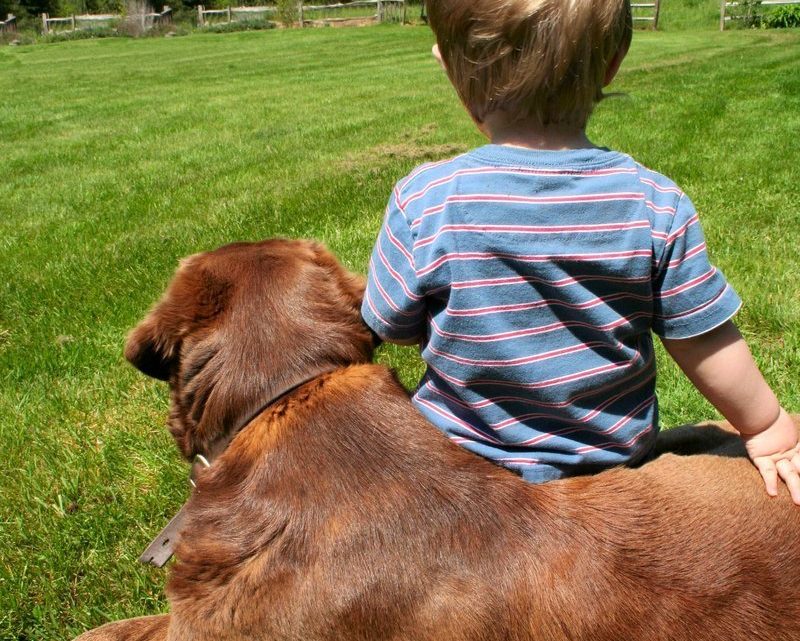 Bedre liv og helse med hund